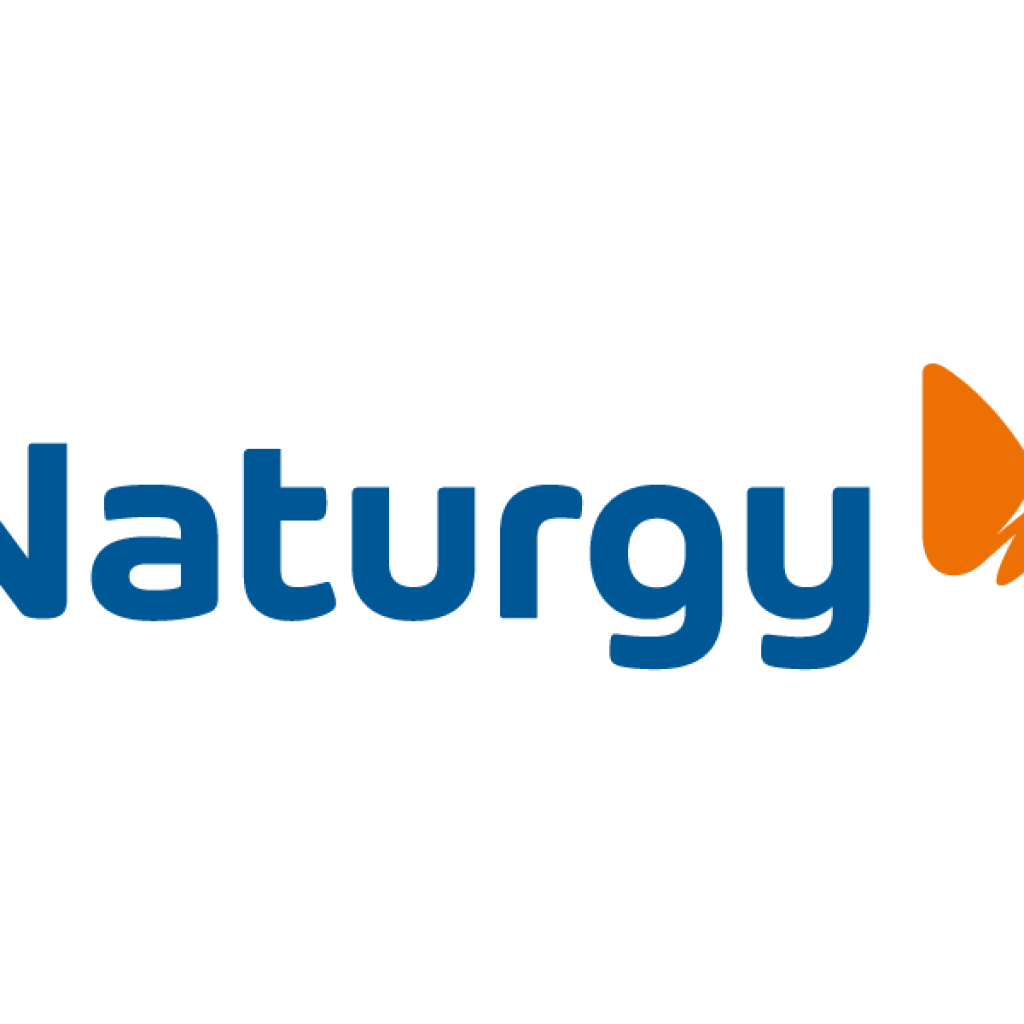Logo Naturgy
